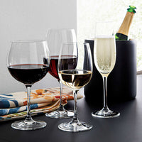 Aspen All-Purpose Big Wine Glass